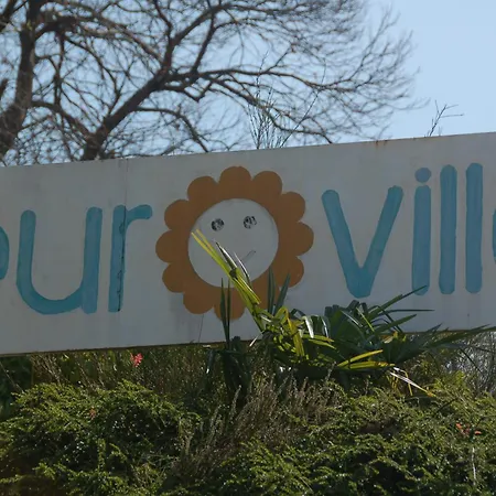 Eucalipto 2 Germignaga