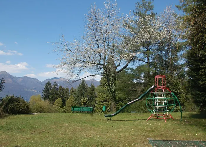 Eucalipto 2 Germignaga